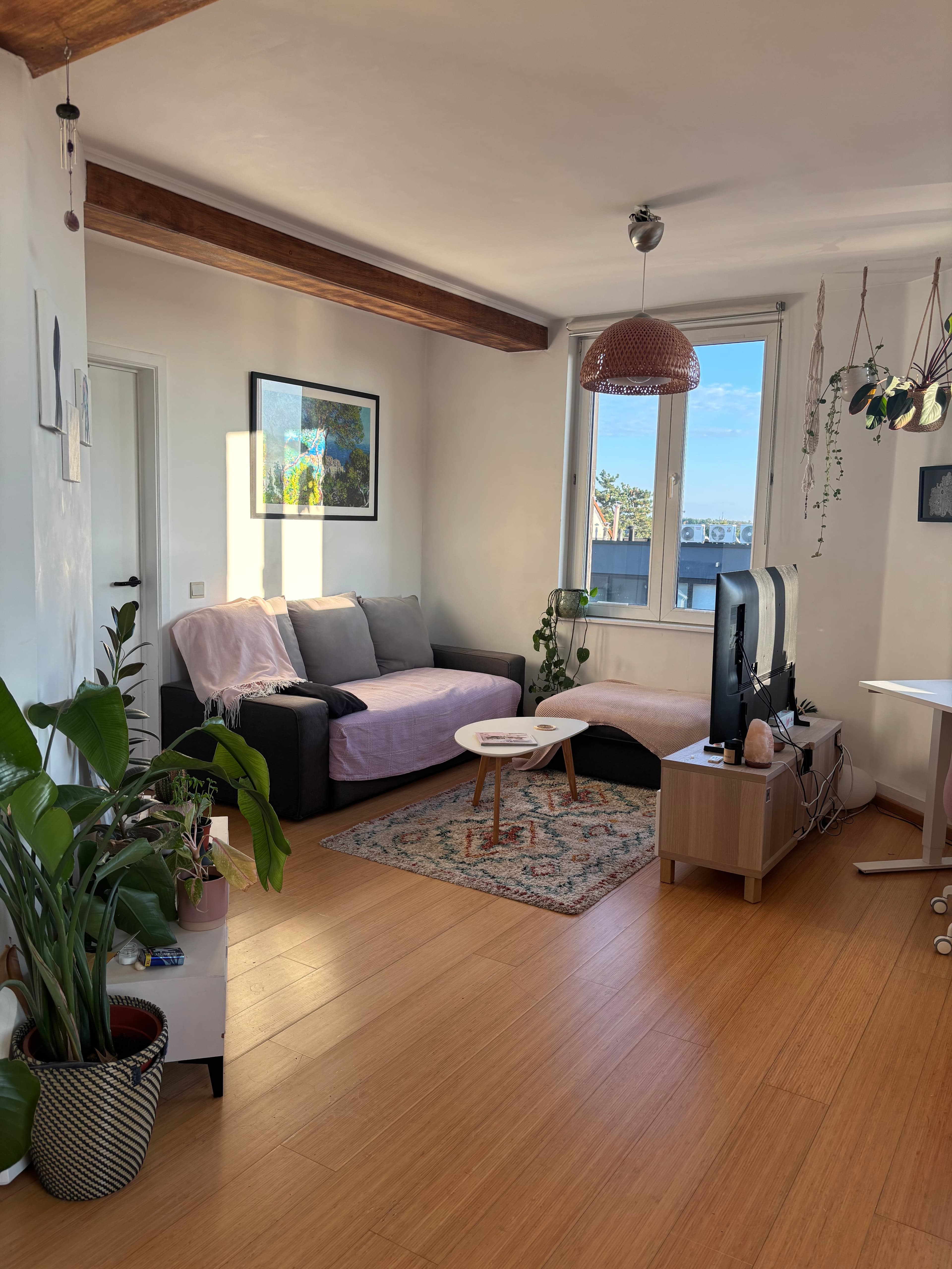 2-bedroom apartment in Brussels, Belgium